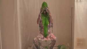 gunge-and-get-naked_11.jpg