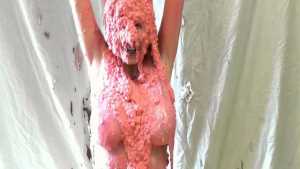 pretty-in-pink_2_9.jpg